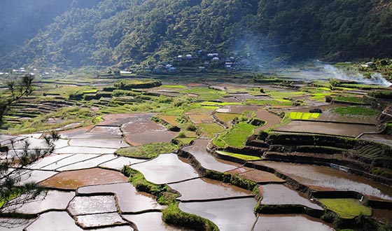 AI人工智慧引領台灣創新浪潮